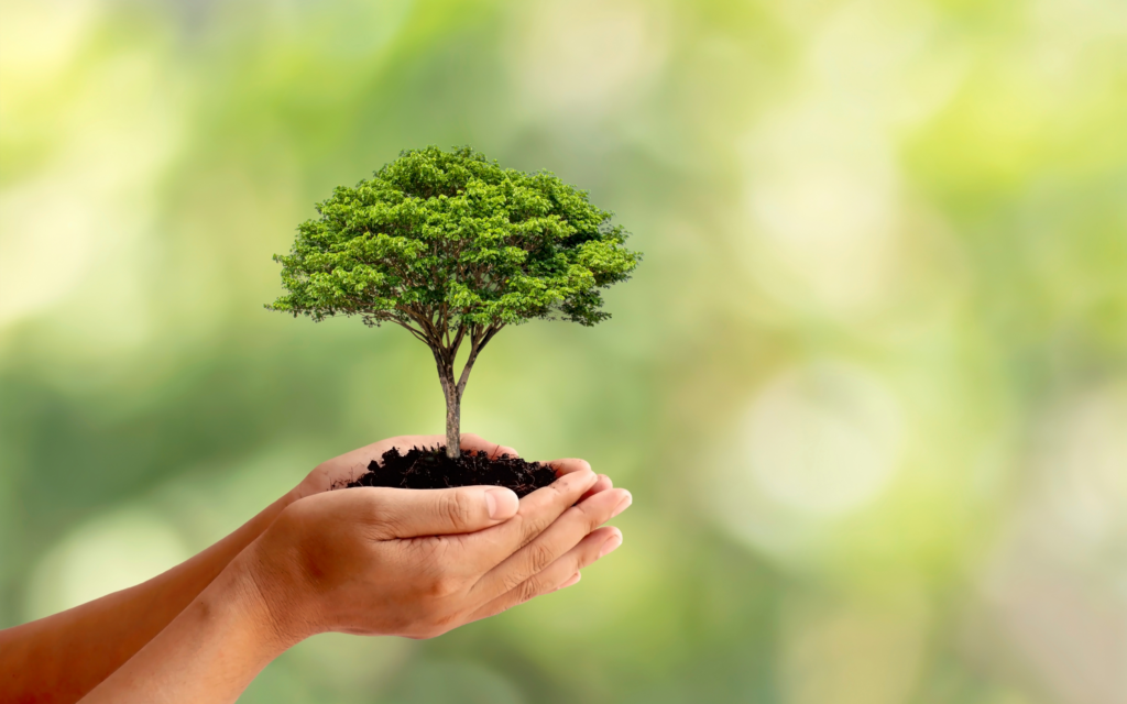 ECS spiega come funziona il nuovo disegno di legge per la tutela dell'ambiente.