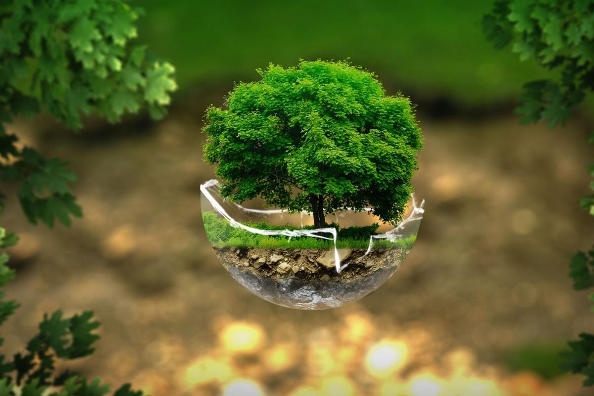Ecologia